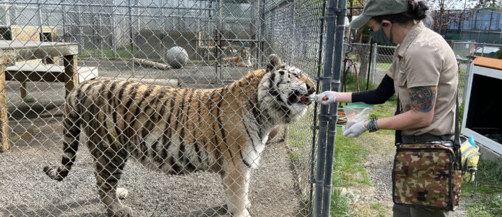 Changing Seasons Through the Eyes of a Zookeeper